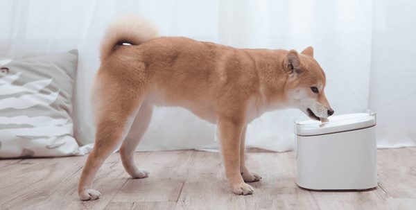 Поилка умная для домашних животных Xiaomi Smart Pet Fountain XWWF01MG-EU (BHR6161EU)