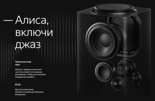 Умная колонка Яндекс Станция Макс с Zigbee, синий (YNDX-00052B)
