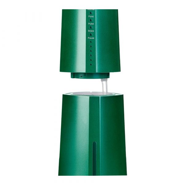 Ирригатор Revyline RL 610 Special Color Edition Green Dragon — изображение 8