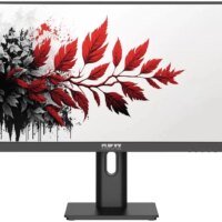 Монитор RDW Computers 27" RDW2701K черный IPS 1ms 16:9 HDMI M/M HAS Piv 1000:1 350cd 178гр/178гр 2560x1440 100Hz DP QHD USB 1.7кг (RUS)