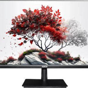 Монитор RDW Computers 27" RDW2701K черный IPS 5ms 16:9 HDMI 1000:1 300cd 178гр/178гр 1920x1080 100Hz VGA DP FHD (RUS)