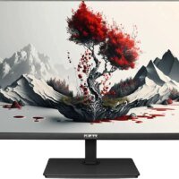 Монитор RDW Computers 23.8" RDW2401K черный IPS 5ms 16:9 HDMI M/M матовая HAS Piv 1000:1 300cd 178гр/178гр 1920x1080 120Hz VGA DP FHD 4.185кг (RUS)