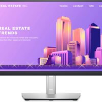 Монитор Dell 23.8" P2422H черный IPS LED 16:9 HDMI матовая HAS Piv 1000:1 250cd 178гр/178гр 1920x1080 60Hz VGA DP FHD USB 5.57кг