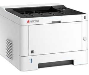 Принтер лазерный Kyocera Ecosys P2235dw (1102RW3NL0) A4 Duplex Net WiFi черный