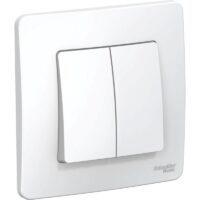 Выключатель двухклавишный скрытой установки Systeme Electric BLANCA (cх.5), 10A, 250B, белый